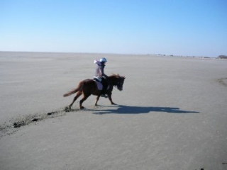  Libertad total a caballo 